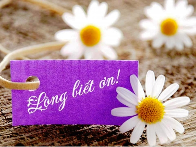 Câu chuyện chiều thứ bảy: Lòng biết ơn và niềm mơ ước