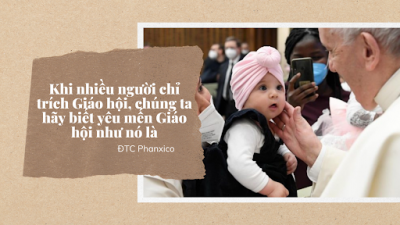 Phản ứng với chỉ trích