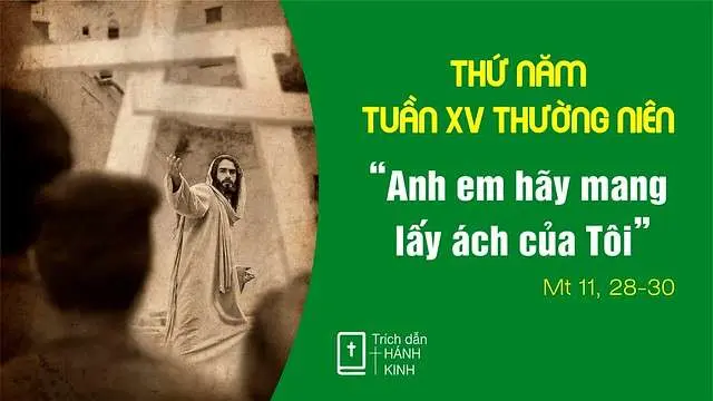 Chú Giải Tin Mừng Thứ Năm Tuần XV Mùa Thường Niên (Mt 11,28-30) | Giáo Phận Phú Cường