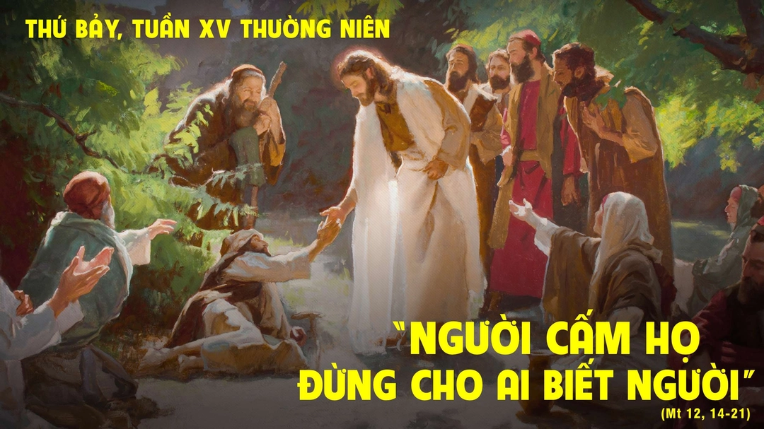 Suy Niệm Lời Chúa | Thứ Bảy Tuần XV Mùa Thường Niên | Mt 12,14-21 | Phút Cầu Nguyện