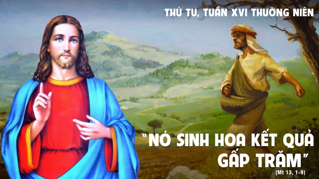 Suy Niệm Lời Chúa | Thứ Tư Tuần XVI Mùa Thường Niên | Mt 13,1-9 | Phút Cầu Nguyện