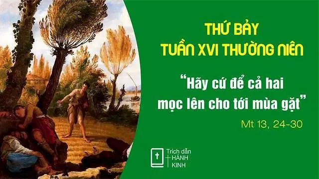 Chú Giải Tin Mừng Thứ Bảy Tuần XVI Mùa Thường Niên (Mt 13,24-30) | Giáo Phận Phú Cường
