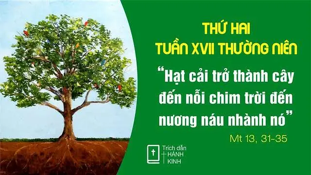 Chú Giải Tin Mừng Thứ Hai Tuần XVII Mùa Thường Niên (Mt 13,31-35) | Giáo Phận Phú Cường