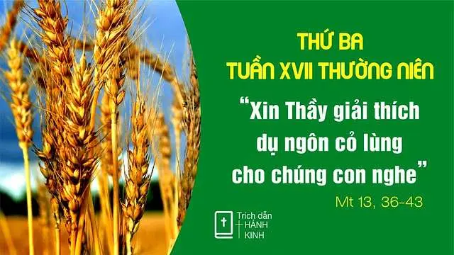Chú Giải Tin Mừng Thứ Ba Tuần XVII Mùa Thường Niên (Mt 13,36-42) | Giáo Phận Phú Cường