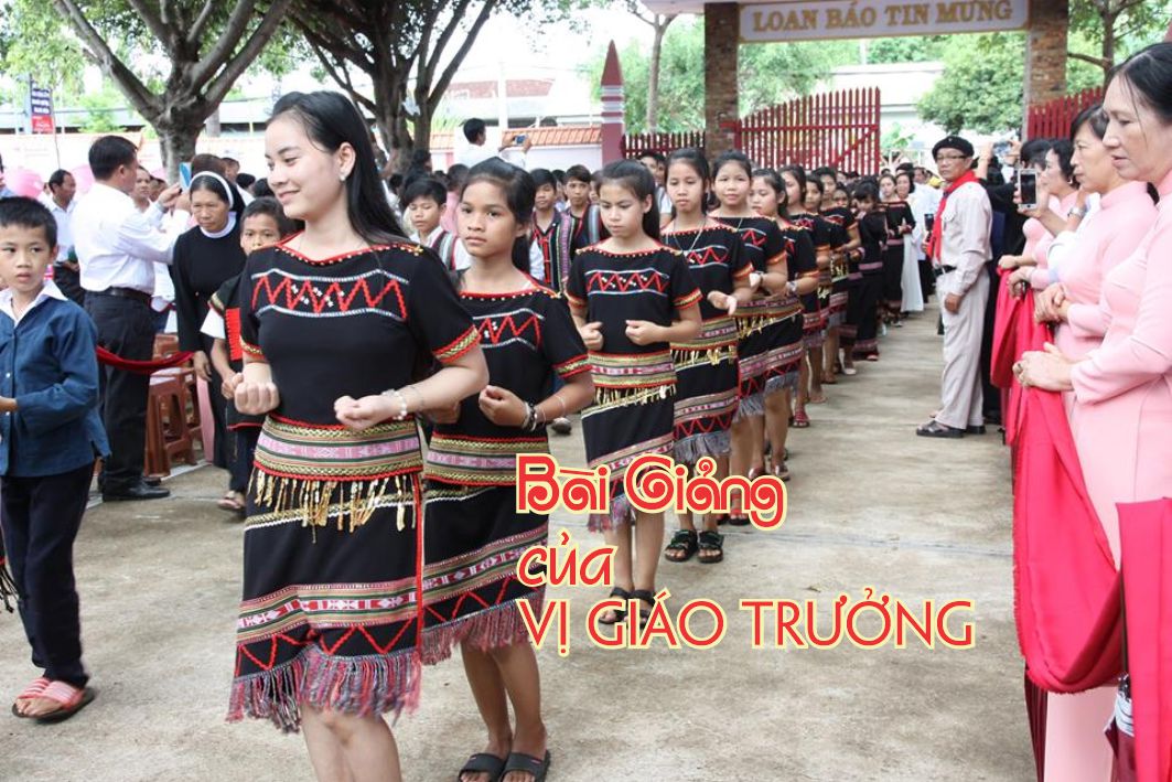 Lẽ Sống: Bài Giảng Của Vị Giáo Trưởng