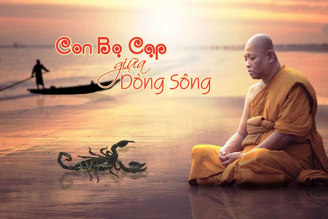 Lẽ Sống: Con Bọ Cạp Giữa Dòng Sông
