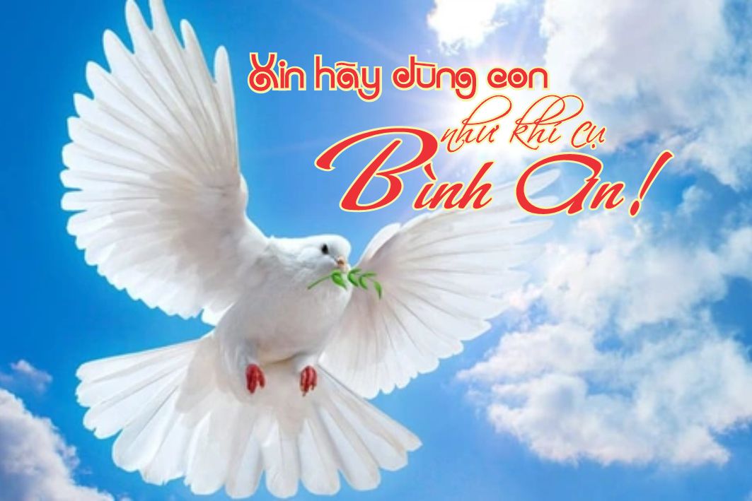 Lẽ Sống: Xin Hãy Dùng Con Như Khí Cụ Bình An!