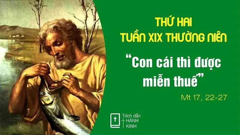 Chú Giải Tin Mừng Thứ Hai Tuần XIX Mùa Thường Niên (Mt 17,22-26) | Giáo Phận Phú Cường