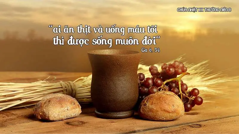 Chú Giải Tin Mừng Chúa Nhật Tuần XX Mùa Thường Niên - Năm B (Ga 6,51-58) | Giáo Phận Phú Cường