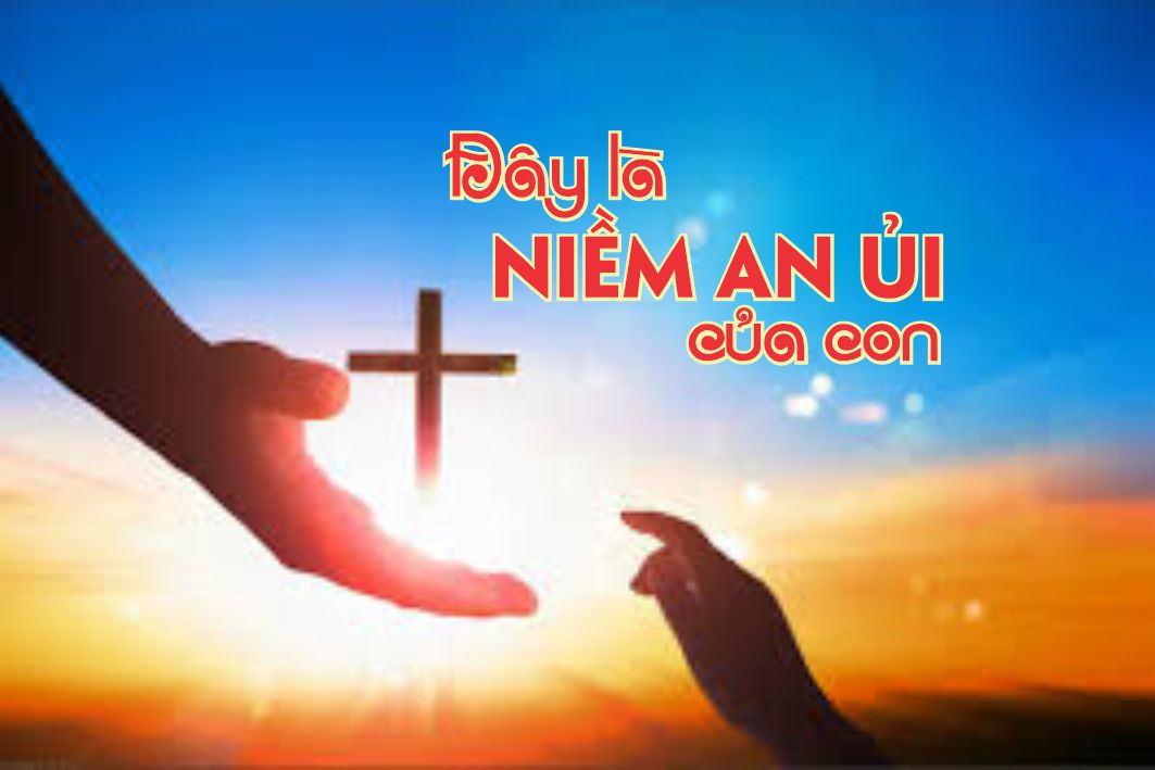 Lẽ Sống: Ðây Sẽ Là Niềm An Ủi Của Con