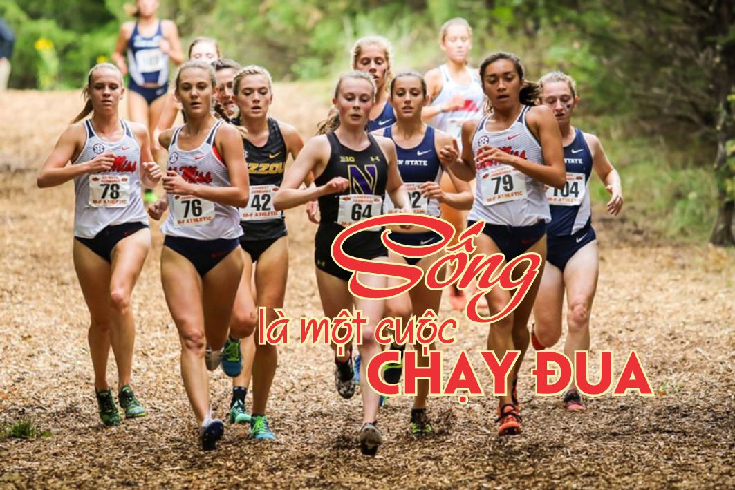 Lẽ Sống: Sống Là Một Cuộc Chạy Ðua