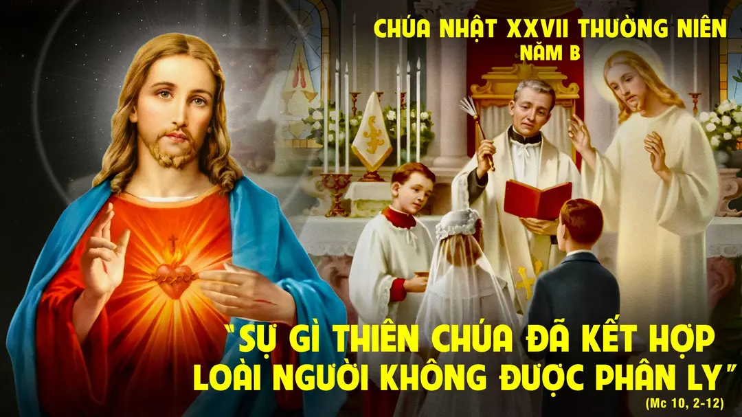 Chú Giải Tin Mừng Chúa Nhật Tuần XXVII Mùa Thường Niên - Năm B (Mc 10,2-16) | Giáo Phận Phú Cường
