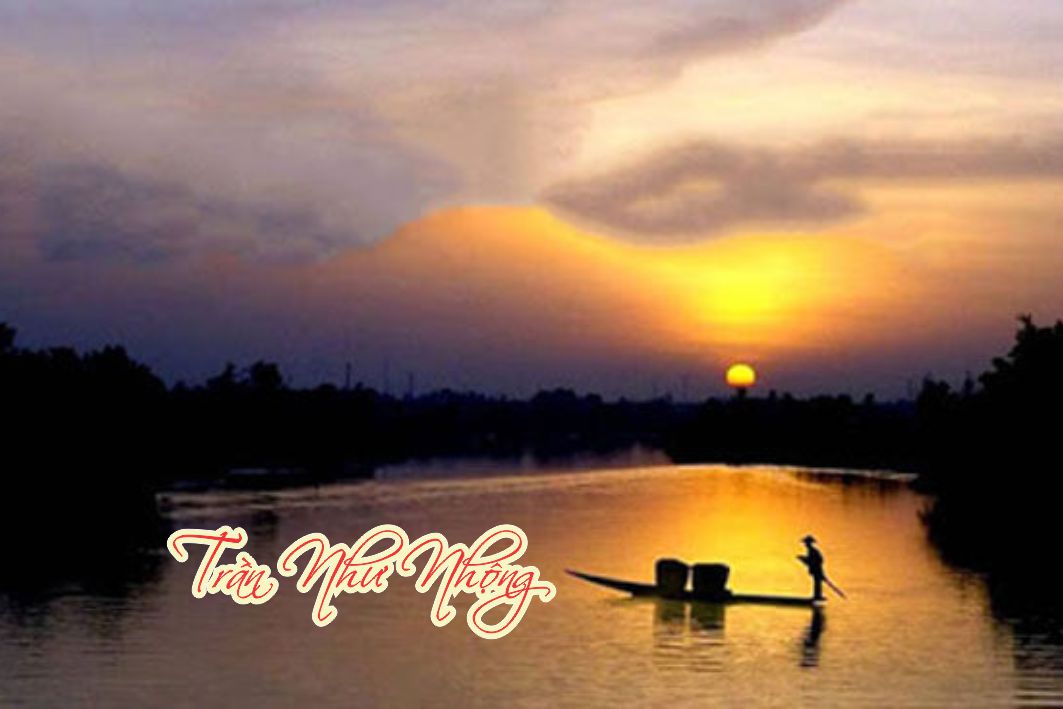 Lẽ Sống: Trần Như Nhộng