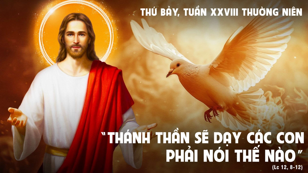 Suy Niệm Lời Chúa | Thứ Bảy Tuần XXVIII Mùa Thường Niên | Lc 12,8-12 | Phút Cầu Nguyện