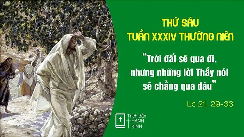 Chú Giải Tin Mừng Thứ Sáu Tuần XXXIV Mùa Thường Niên (Lc 21,29-33) | Giáo Phận Phú Cường