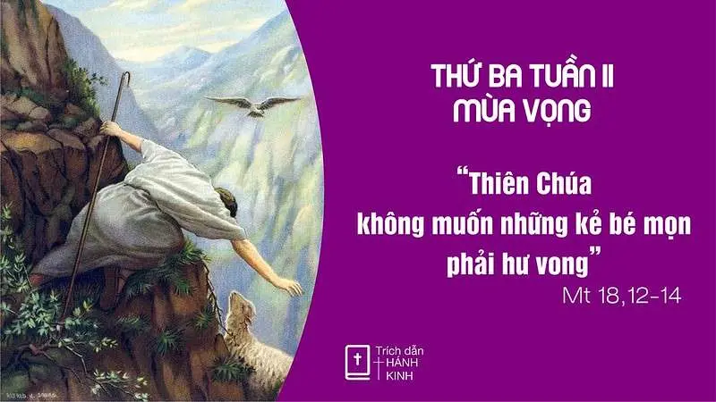 Chú Giải Tin Mừng Thứ Ba Tuần II Mùa Vọng (Mt 18,12-14) | Giáo Phận Phú Cường