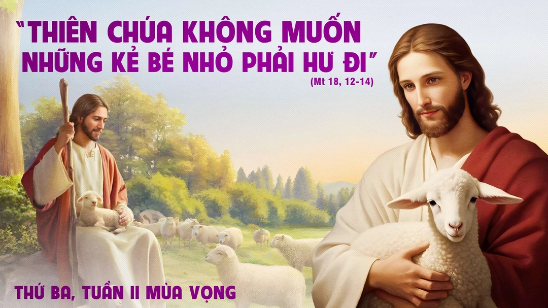 Suy Niệm Lời Chúa | Thứ Ba Tuần II Mùa Vọng | Mt 18,12-14 | Phút Cầu Nguyện