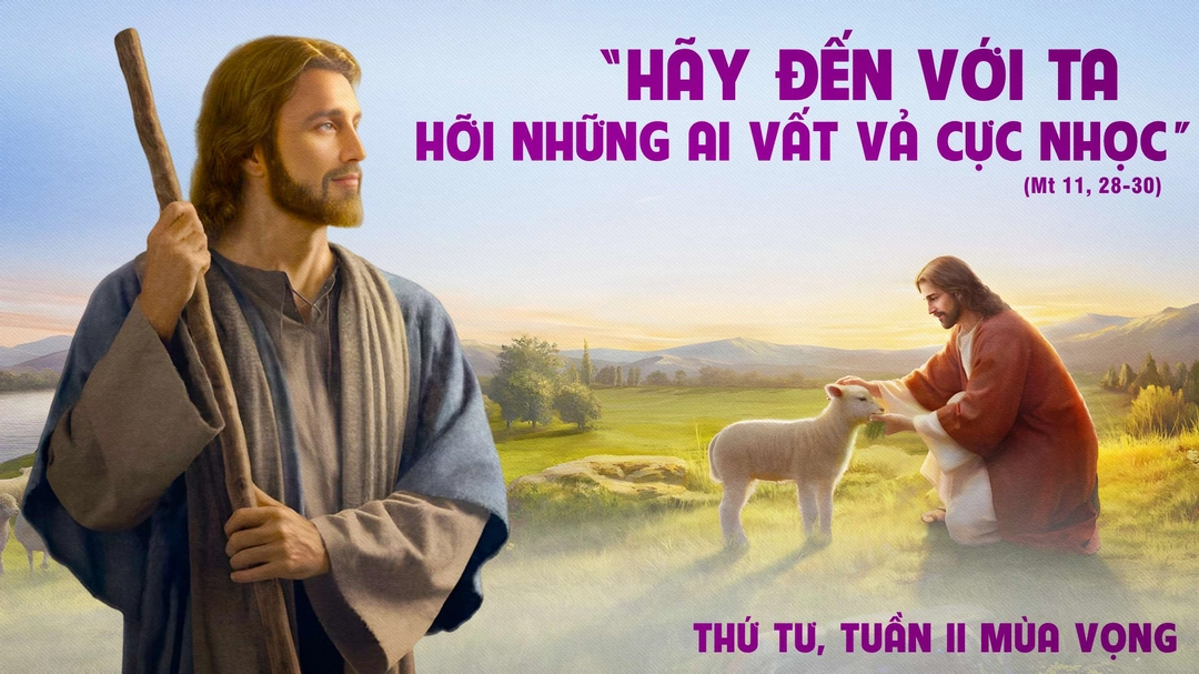 Suy Niệm Lời Chúa | Thứ Tư Tuần II Mùa Vọng | Mt 11,28-30 | Phút Cầu Nguyện