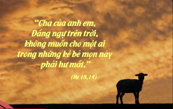 Radio thứ Ba 10/12/2024 - Vatican News Tiếng Việt