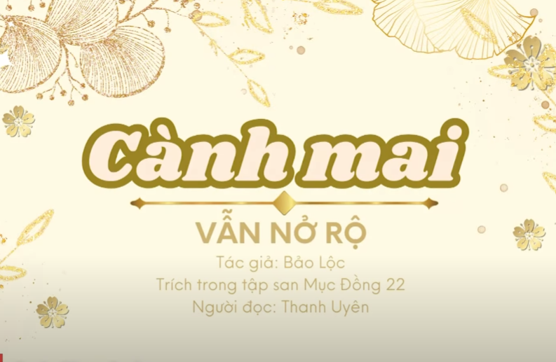 Truyện ngắn: Cành mai vẫn nở rộ