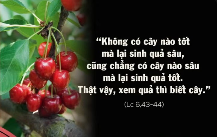 Radio Chúa Nhật 02/03/2025 - Vatican News Tiếng Việt