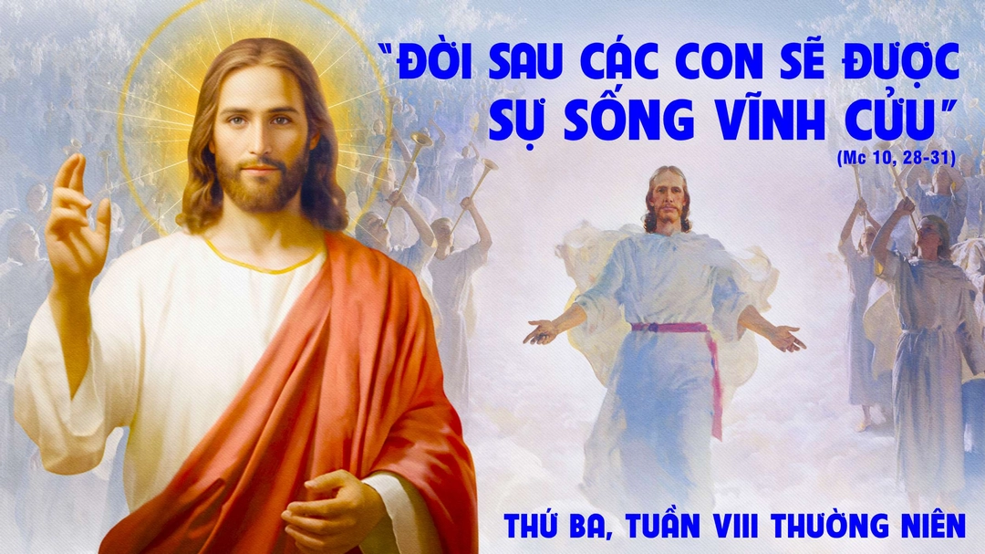 Suy Niệm Lời Chúa | Thứ Ba Tuần VIII Mùa Thường Niên |Mc 10,28-31| Phút Cầu Nguyện