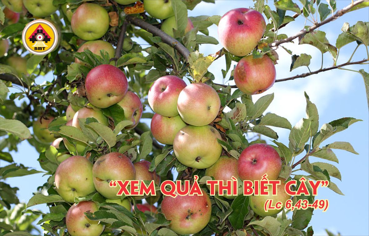 Lời Chúa THỨ BẢY TUẦN 23 THƯỜNG NIÊN