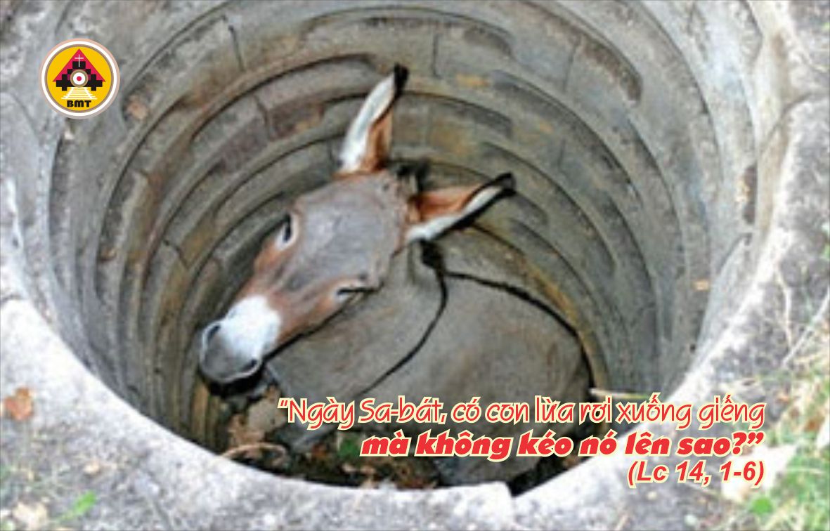 Lời Chúa THỨ SÁU TUẦN 30 TN