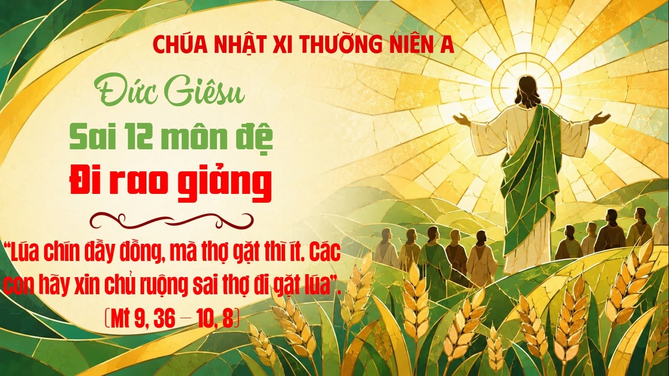 Chúa Nhật XI Mùa Thường Niên Năm A