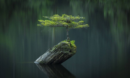 "Con Người Bất Hạnh Nhất Trần Gian"