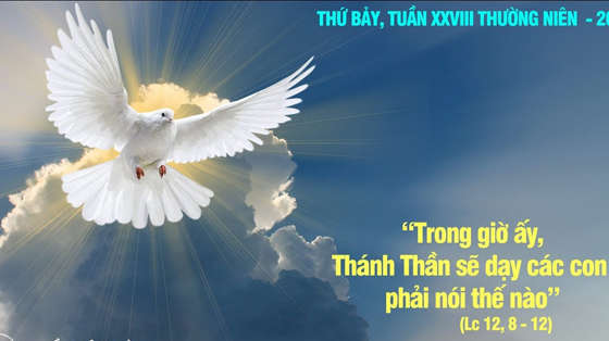 Thứ Bảy Tuần XXVIII Mùa Thường Niên Năm chẵn