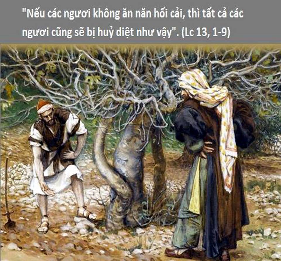 Thứ Bảy Tuần XXIX Mùa Thường Niên Năm chẵn
