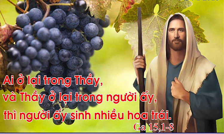 Thứ Tư Tuần V – Mùa Phục Sinh