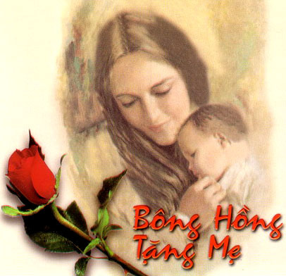 Câu chuyện chiều thứ bảy: Hoa hồng tặng mẹ