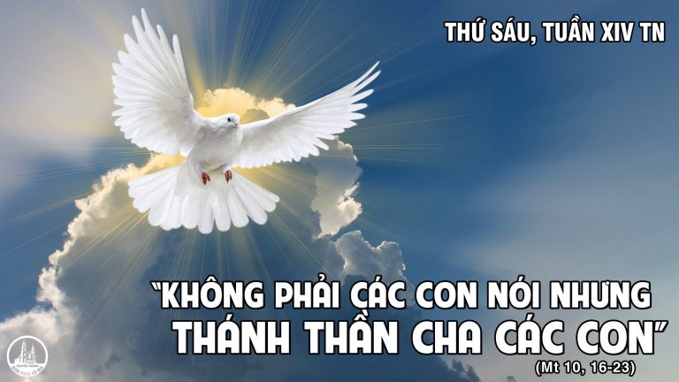 Thứ Sáu tuần 14 thường niên