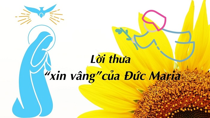 5 Phút Lời Chúa Mỗi Ngày: LUÔN SẴN SÀNG THƯA VÂNG
