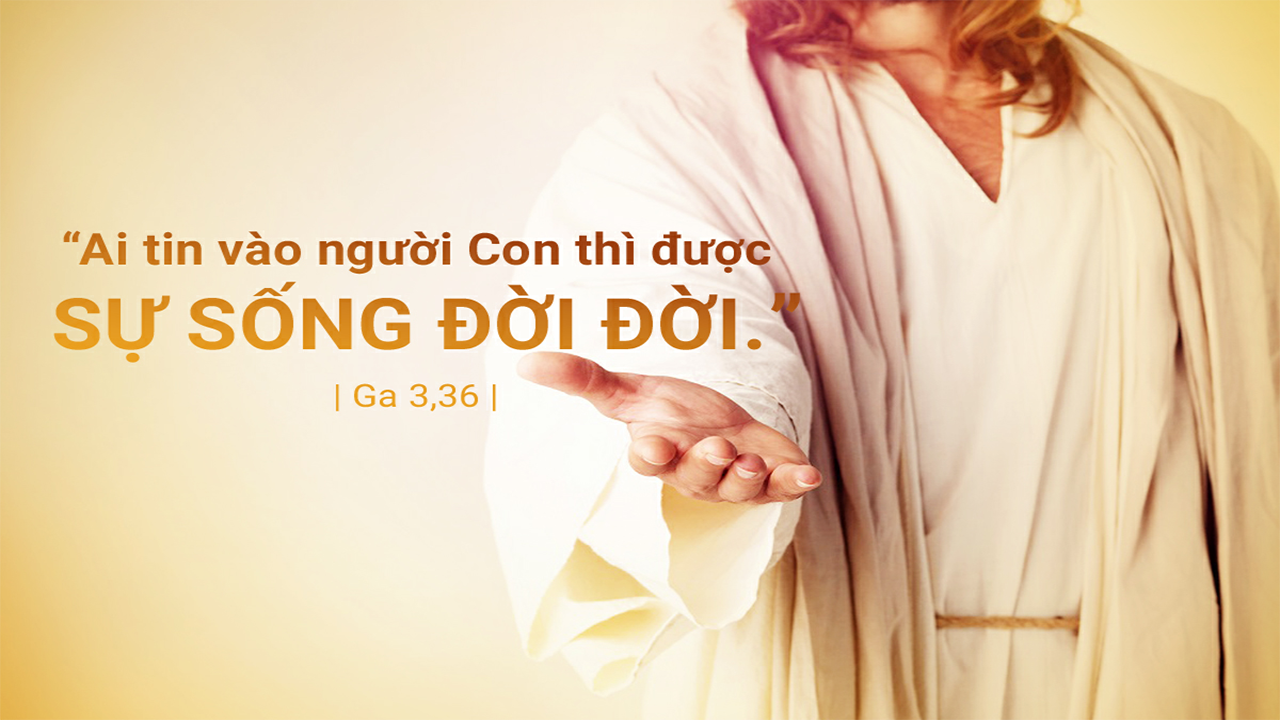 5 Phút Lời Chúa Mỗi Ngày: TIN VÀO NGƯỜI CON