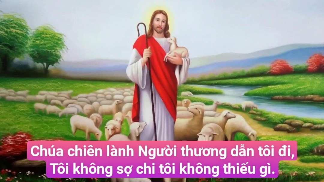5 Phút Lời Chúa Mỗi Ngày: ĐẸP NGƯỜI ĐẸP ĐẠO