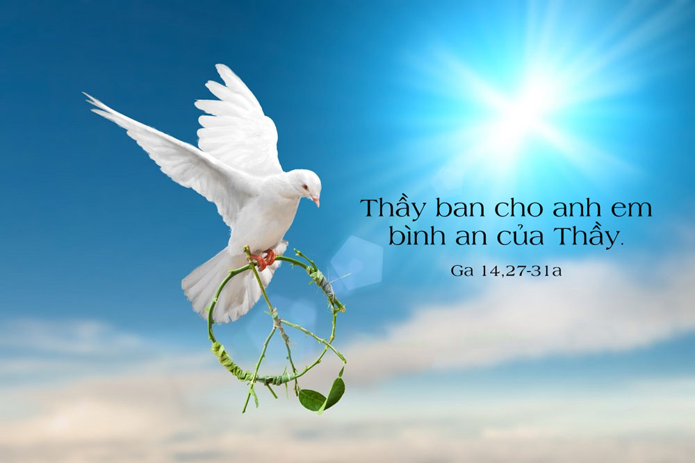 5 Phút Lời Chúa Mỗi Ngày: BÌNH AN CỦA LÒNG THƯƠNG XÓT
