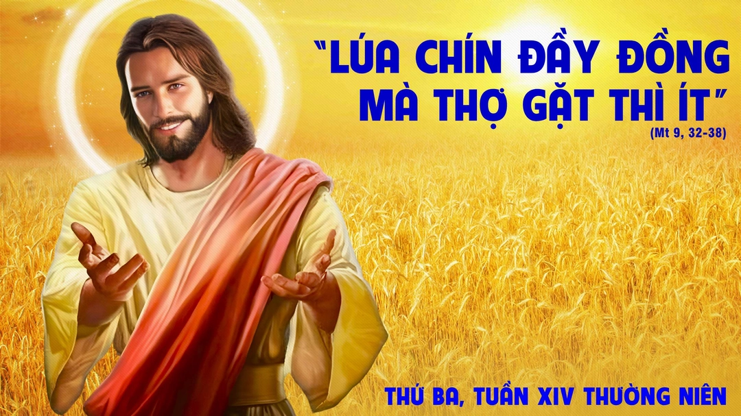 Suy Niệm Lời Chúa | Thứ Ba Tuần XIV Mùa Thường Niên | Mt 9,32-38 | Phút Cầu Nguyện
