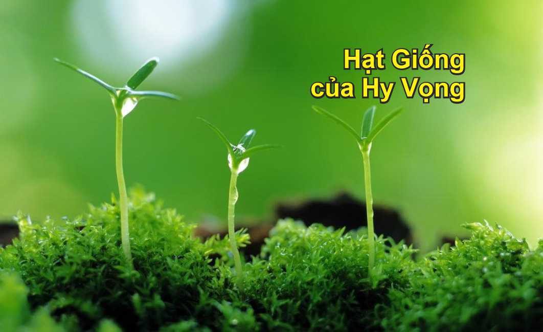 Lẽ Sống: Hạt Giống Của Hy Vọng