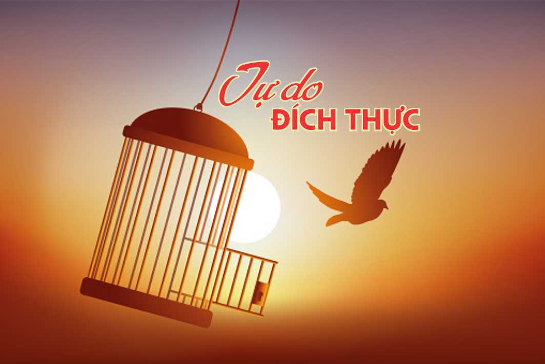 Lẽ Sống: Tự Do Ðích Thực