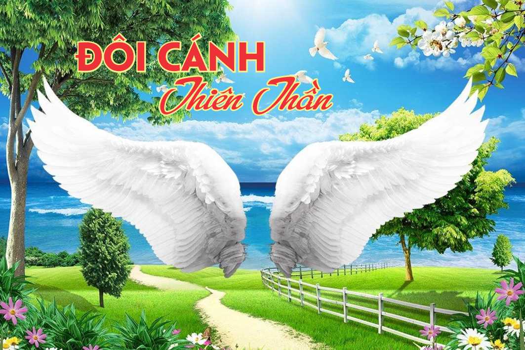 Lẽ Sống: Ðôi Cánh Thiên Thần