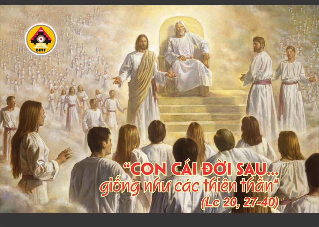 Lời Chúa THỨ BẢY TUẦN 33 THƯỜNG NIÊN