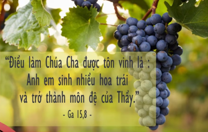 Radio thứ Tư 21/05/2025 - Vatican News Tiếng Việt