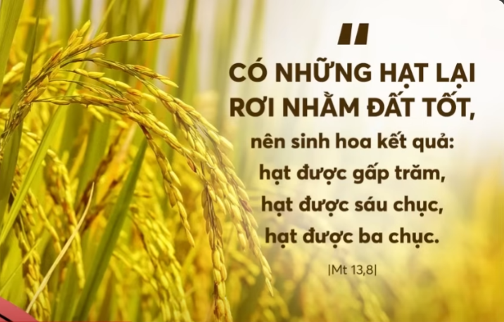 Radio thứ Tư 23/07/2025 - Vatican News Tiếng Việt