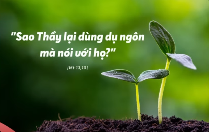 Radio thứ Năm 24/07/2025 - Vatican News Tiếng Việt