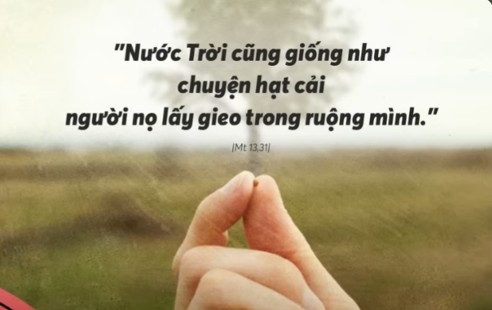 Radio thứ Hai 28/07/2025 - Vatican News Tiếng Việt