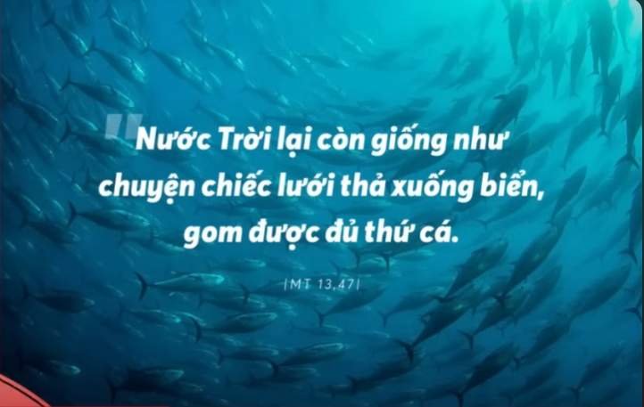 Radio thứ Năm 31/07/2025 - Vatican News Tiếng Việt