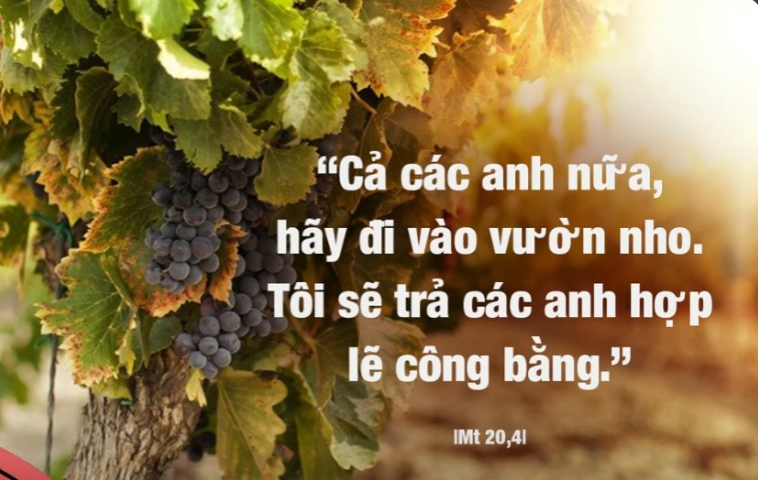 Radio thứ Tư 20/08/2025 - Vatican News Tiếng Việt